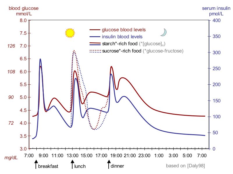 suckale08_fig3_glucose_insulin_day
