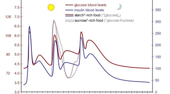 A Synthesizer on your Belt